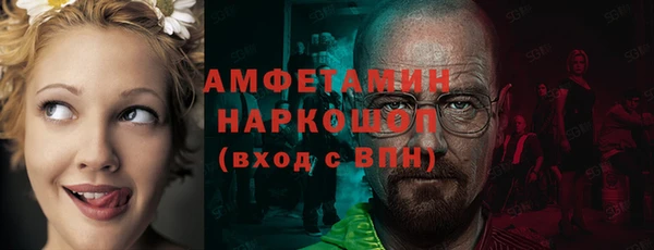 apvp Вяземский